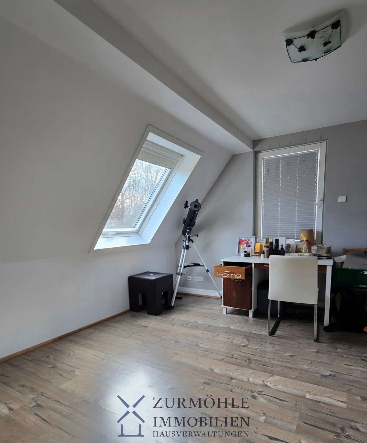 Zimmer1 DG1